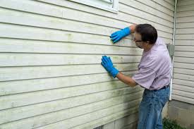 Best Vinyl Siding Installation  in Laurel, MS